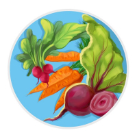 Конкурс по сельскому хозяйству «Корнеплоды, клубнеплоды, бахчевые культуры»