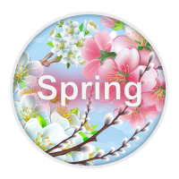 Конкурс по английскому языку «Spring English»