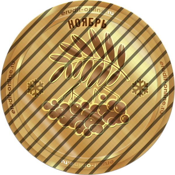 Лучший участник ноября 2025 года Лучший участник ноября 2025 года